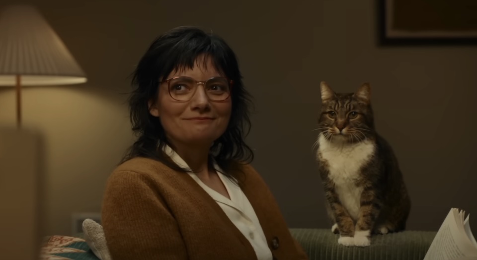 Apple Says: The Cat Stays in the Picture