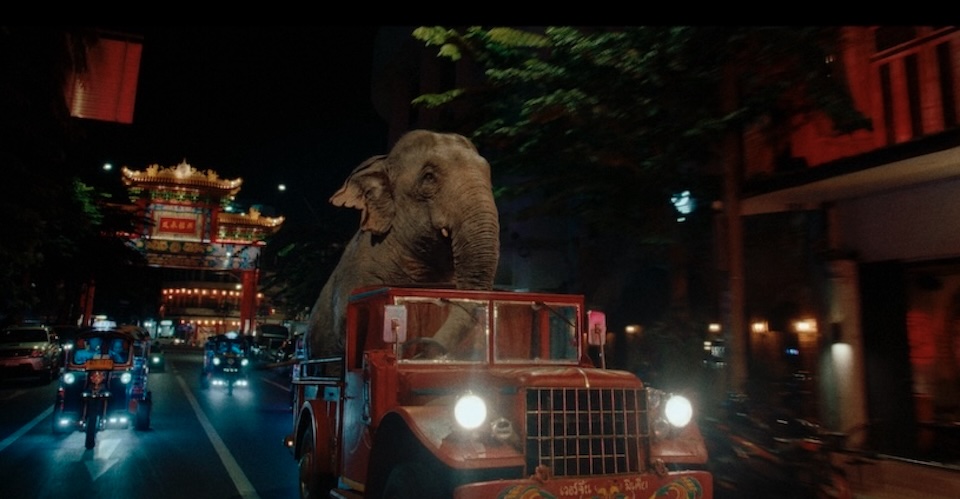 Joyride: Elephant Steals a Truck for Virgin Media’s O2 Network Image