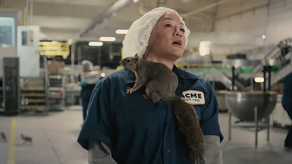 You Want to Sell Insurance? Release the Squirrels!