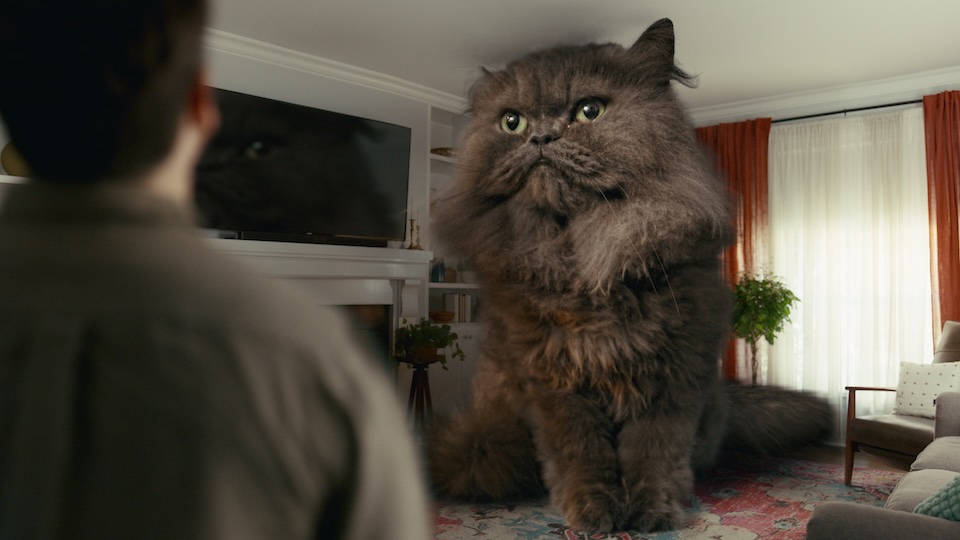Cat's Pride Casts Kaiju Kitties in Feline Farce