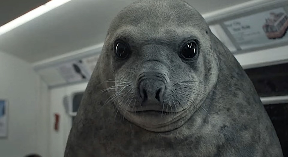 This Freaky Giant Seal Is All About Personal Finance